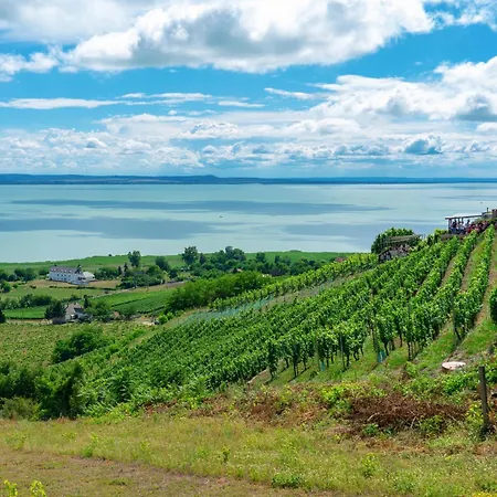 Fueloep Panzio Near Balaton Appartamento Révfülöp