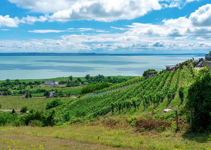 Fueloep Panzio Near Balaton Apartment Révfülöp